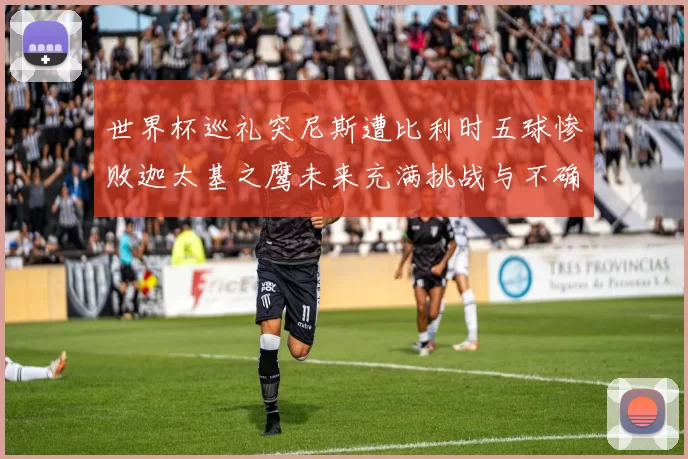 世界杯巡礼突尼斯遭比利时五球惨败迦太基之鹰未来充满挑战与不确定性